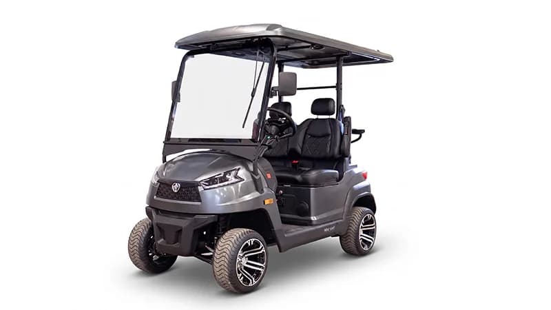Black Lynx Vector